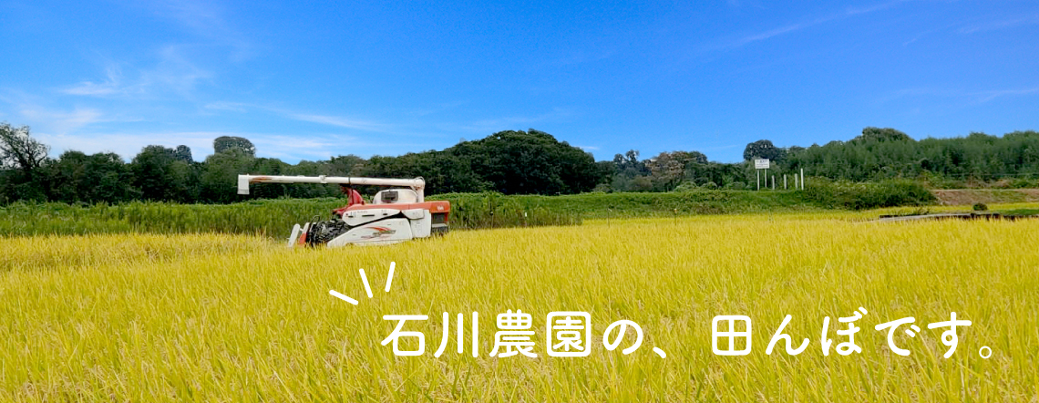 米畑